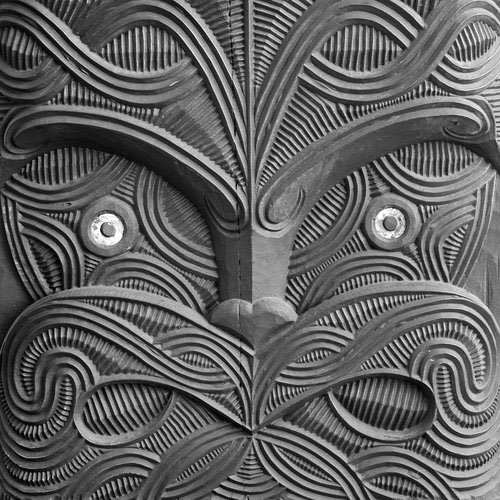 Māori Organisations
